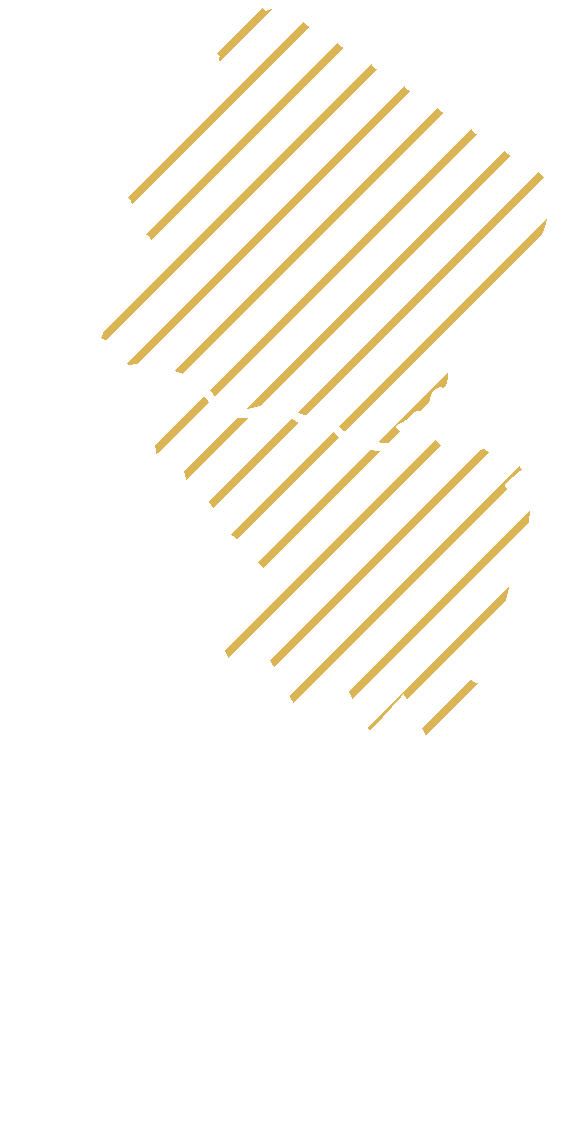 Map highlighting Tatra Construction's Northern and Central New Jersey service area